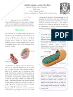 Trabajo de Bio 6-1