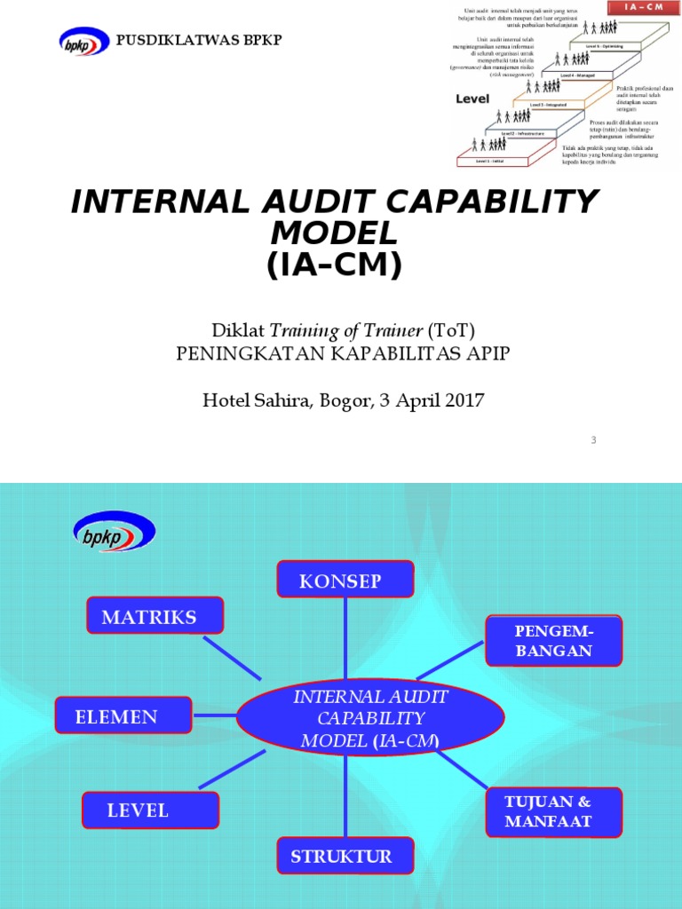 Model Kapabilitas Audit Internal Level 4 | PDF