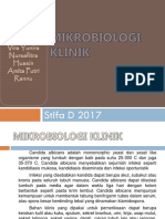 Mikro Klinik