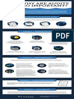 Audit Infograph.pdf