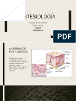 Estesiología