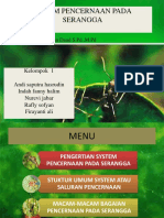 Sistem Pencernaan Pada Serangga