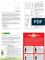 Rezidba Vinove Loze PDF