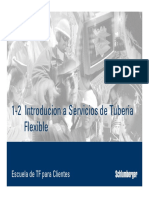 1-2 Introduccion A Servicios de Tuberia Flexible