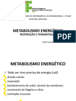 aulas7e8metabolismoenergtico-121203061225-phpapp02.pdf