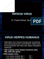 Inf Virus Herpes kuliah