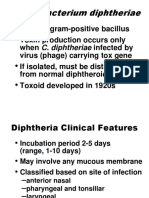 corynebacterium diptheria