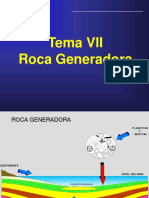 7-roca-generadora.pdf