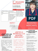 FOLLETO REGISTRO MERCANTIL Y CAMARA DE COMERCIO