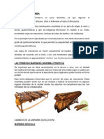 Origen de La Marimba