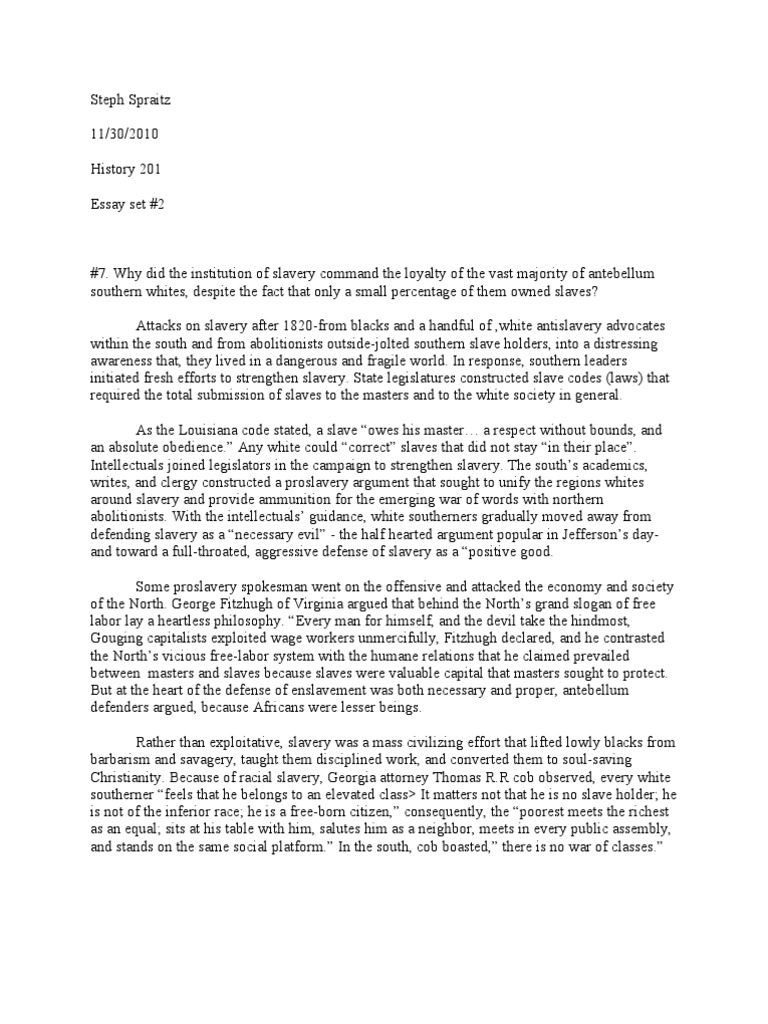 Slavery essay examples picture