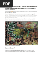 Ossaim - Quem é, Histórias e Culto do Orixá dos Milagres