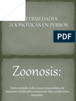 Enfermedades Zoonóticas en Perros