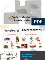 Vetebrata Dan Invetebrata