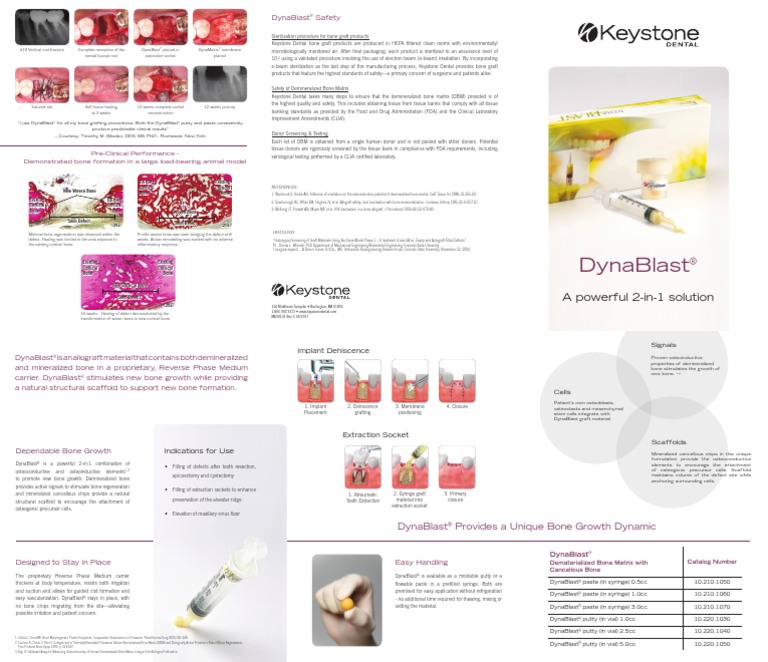 DynaBlast Brochure - MK30133 Rev C | PDF