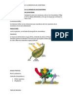 Como Circula La Materia y La Energía en Los Ecosistemas