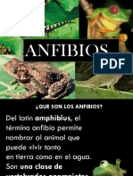Anfibios Diapositiva