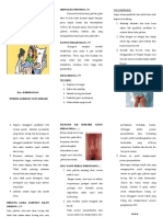 Leaflet Perawatan Luka Perineum