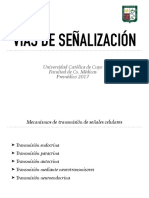 Vias de Señalizacion (1).pdf