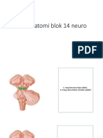 Kuis anatomi blok 14 neuro