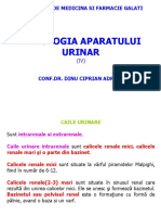 rinichiul4.pdf.pdf