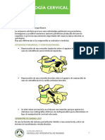 Patologia Cervical