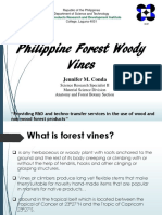 Philippine Forest Woody Vines Presentation  