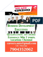 Business Development Executive