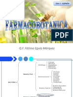 Plantas Medicinales: Definiciones y Conceptos Clave