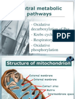 Central Metabolic Pathways