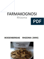 Farmakognosi Rhizoma