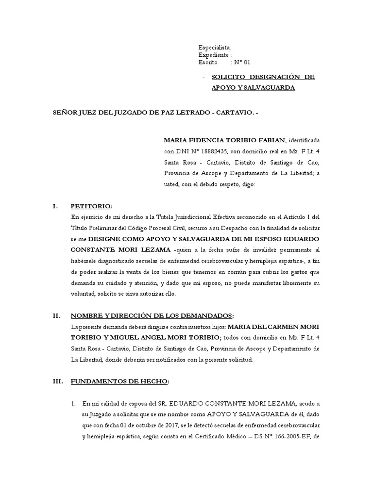 Designacion de Apoyos y Salvaguardas | PDF
