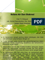 Balans Air Dan Ekskresi PDF