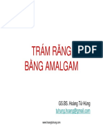 Tram Rang Bang Amalgam PDF