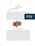 Isi Urolitiasis-1