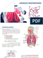 S.11 SISTEMA RESPIRATORIO Y CARDIOVASCULAR (Teoría de Histología) PDF