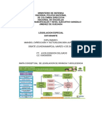 mapa conceptual legislacion de infancia y adolecencia PT JHON DELGADO