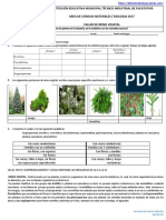 Taller de Reino Vegetal 2017 PDF