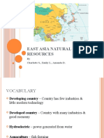 East Asia Natural Resources by Country