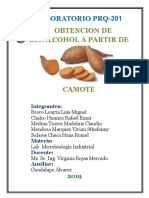 Informe Bioetanol Micro