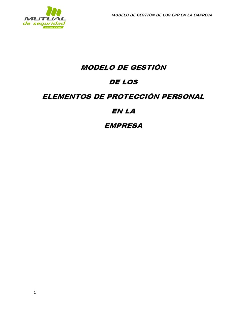Modelo Gestion de Epp V1 | PDF | Calidad (comercial) | Contaminación