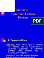 Section 2 Tissue and Cellular Damage