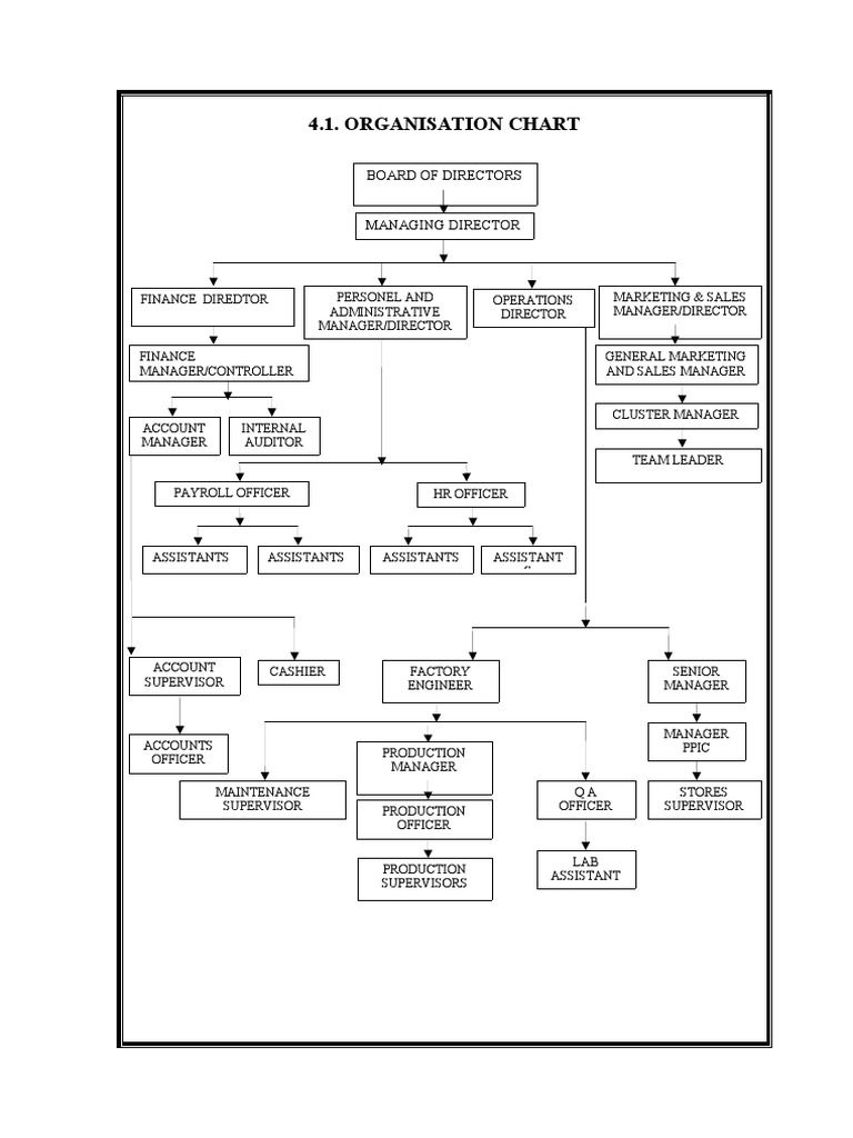Organizational Structure Overview | PDF