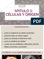 Presentacion 2 - Organismos Procariotas y Eucariotas, Estructura y Tipos de Celulas PDF