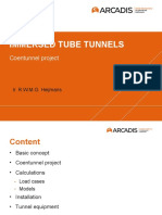 Masterclass Immersed Tunnels INSA 2020