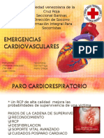 Seminario Cardiovascular
