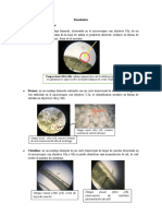 Resultados