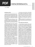 Download 24 ECHINODERMATA by Eduardo Alejandro Hidalgo Nicho SN45017005 doc pdf