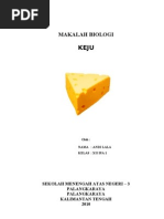 Download Makalah Bio Tentang Keju by Andi Lala SN45017371 doc pdf