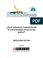 Medicina Felina - Proceedings2015